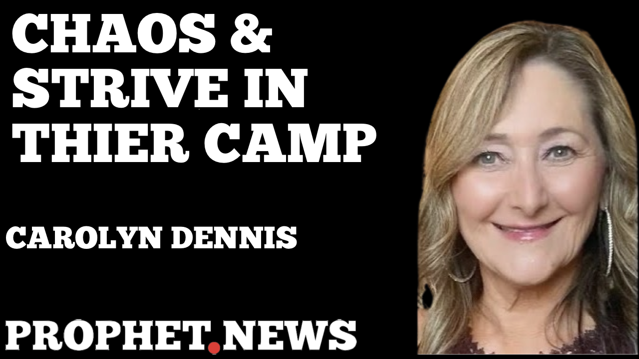 CHAOS & STRIVE IN THEIR CAMP—CAROLYN DENNIS