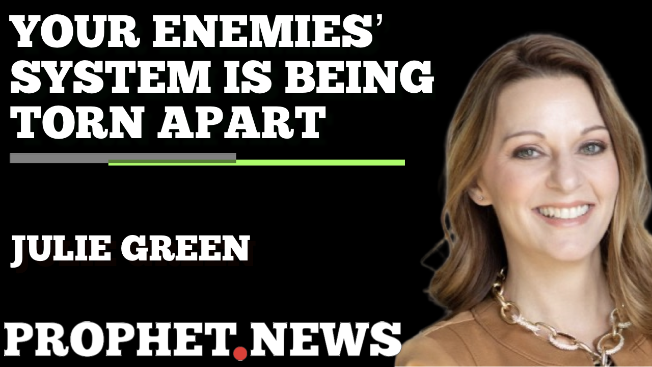 YOUR ENEMIES‘ SYSTEM IS BEING TORN APART—JULIE GREEN