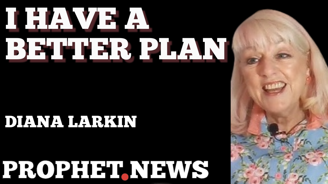 I HAVE A BETTER PLAN—DIANA LARKIN