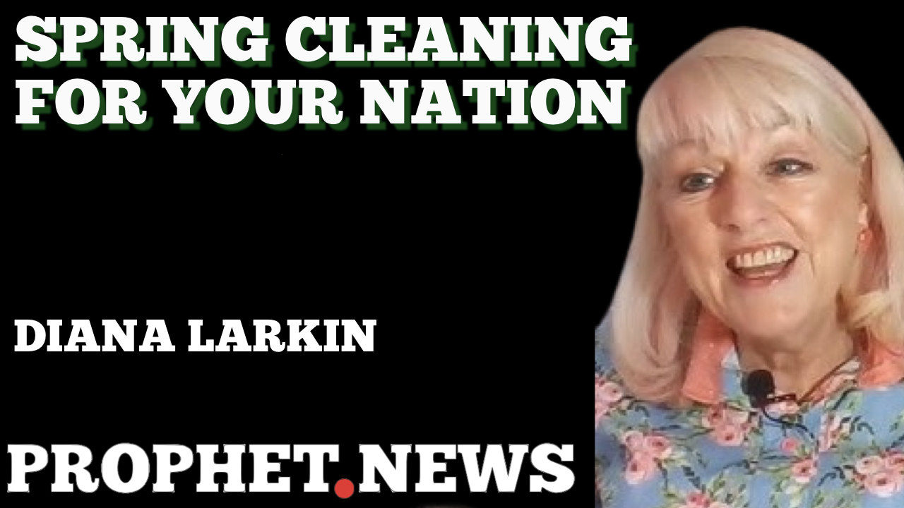 SPRING CLEANING FOR YOUR NATION—DIANA LARKIN