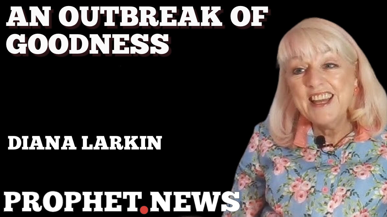 AN OUTBREAK OF GOODNESS-DIANA LARKIN