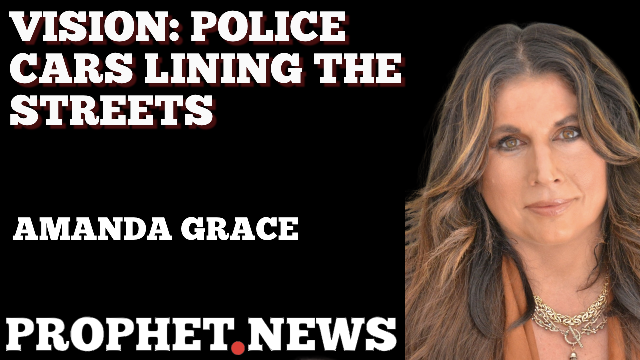 VISION: POLICE CARS LINING THE STREETS—AMANDA GRACE