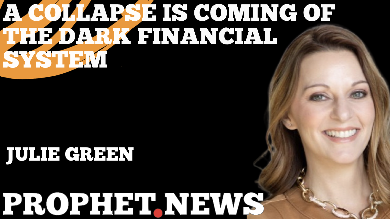 A COLLAPSE IS COMING OF THE DARK FINANCIAL SYSTEM—JULIE GREEN