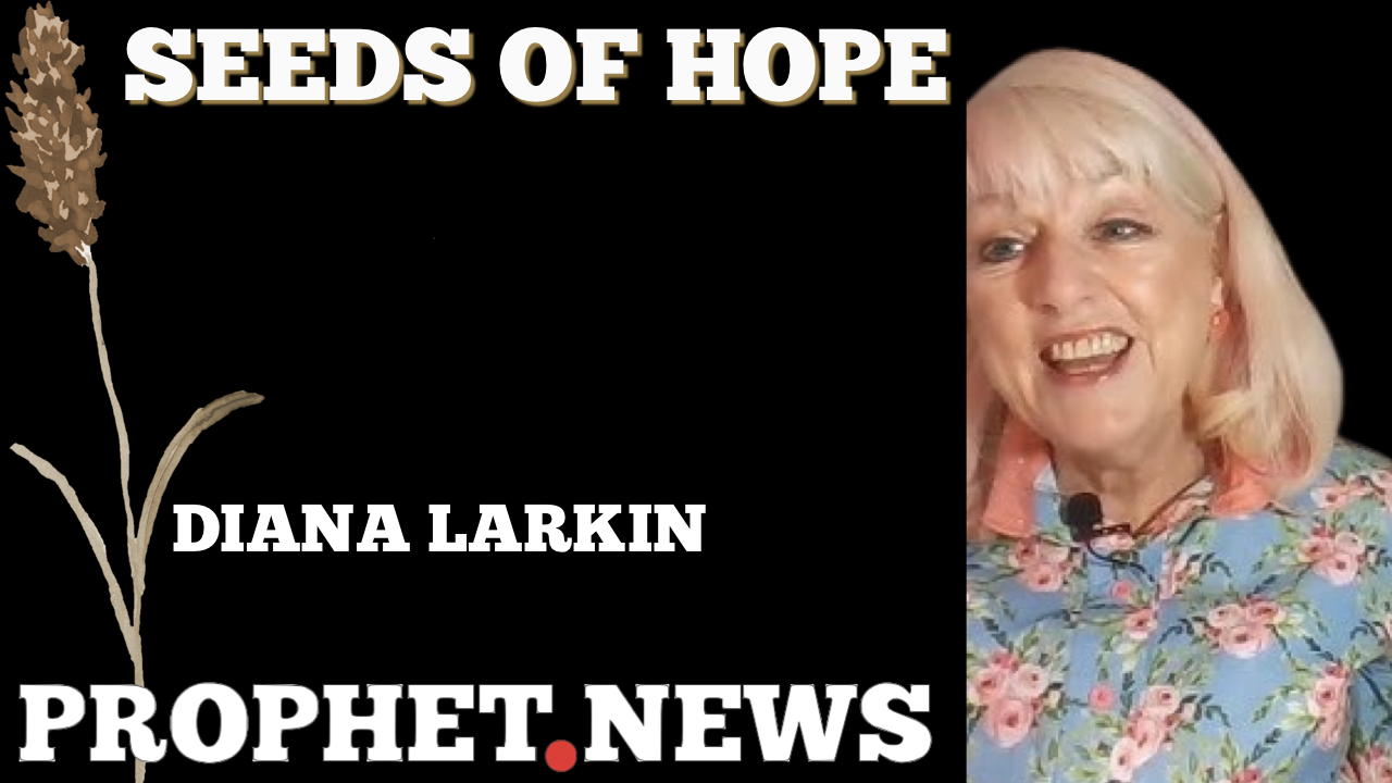 SEEDS OF HOPE—DIANA LARKIN