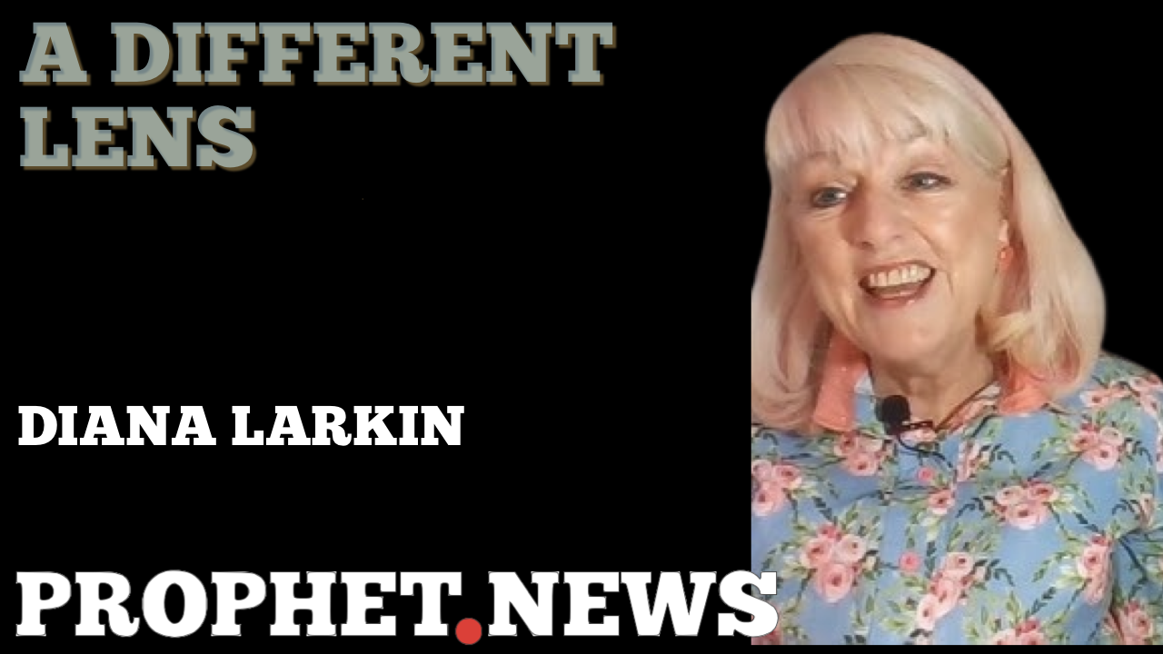 A DIFFERENT LENS—DIANA LARKIN