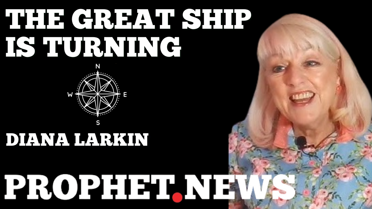 THE GREAT SHIP IS TURNING—DIANA LARKIN