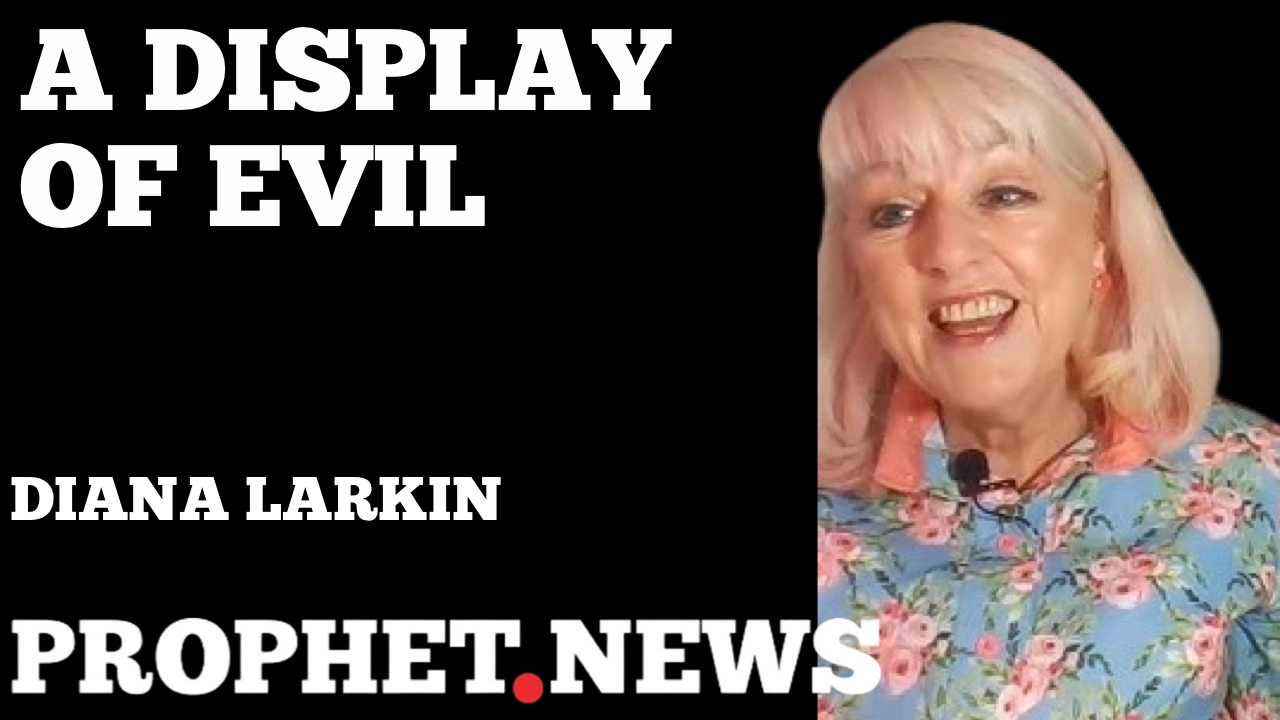 A DISPLAY OF EVIL—DIANA LARKIN