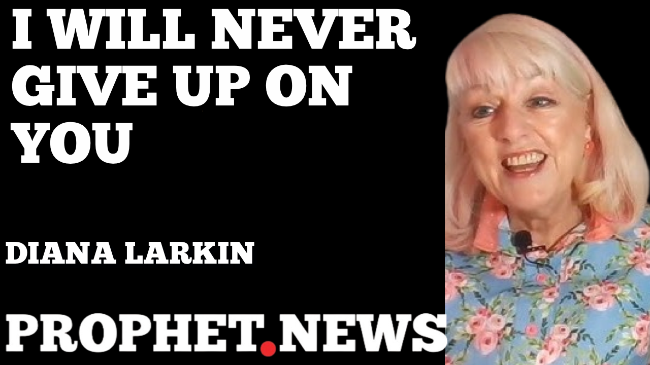 I WILL NEVER GIVE UP ON YOU-DIANA LARKIN