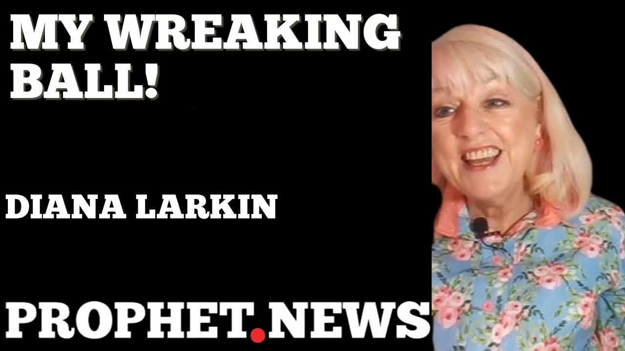 MY WREAKING BALL!—DIANA LARKIN