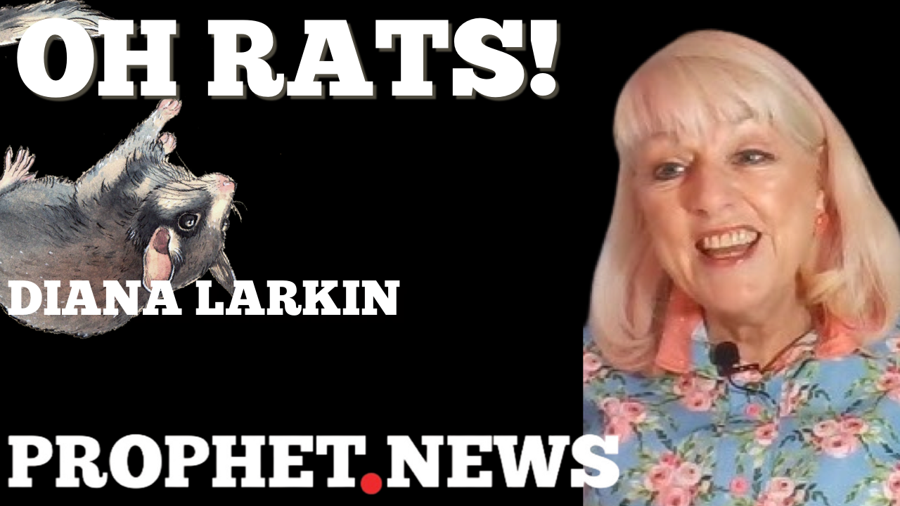 OH RATS!—DIANA LARKIN