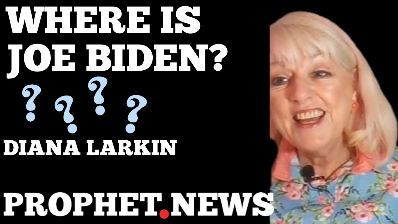 WHERE IS JOE BIDEN?—DIANA LARKIN