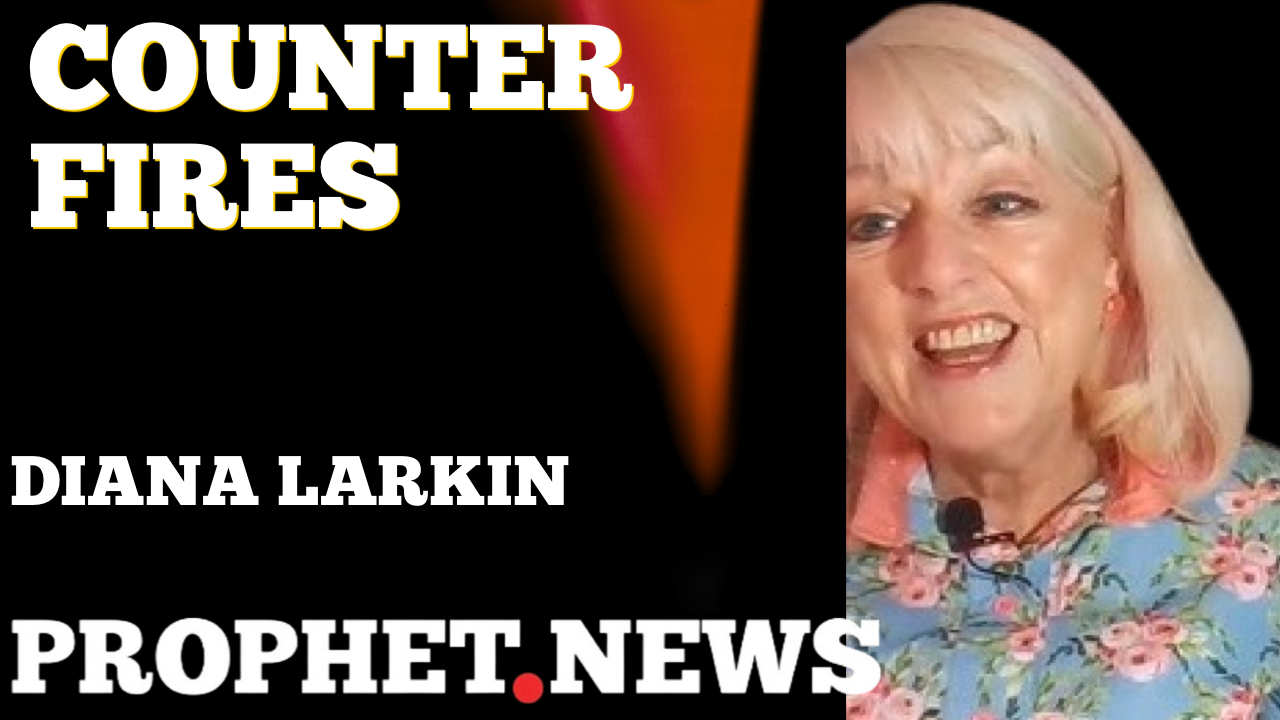 COUNTER FIRES—DIANA LARKIN
