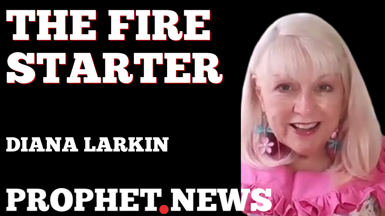 THE FIRE STARTER—DIANA LARKIN