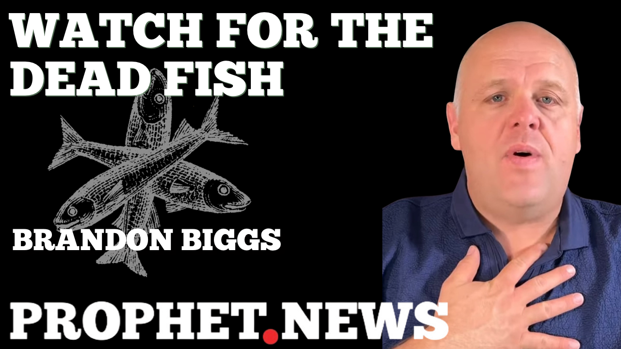 WATCH FOR THE DEAD FISH—BRANDON BIGGS