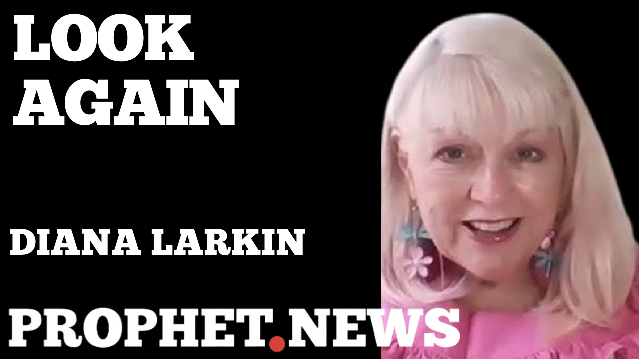 LOOK AGAIN—DIANA LARKIN