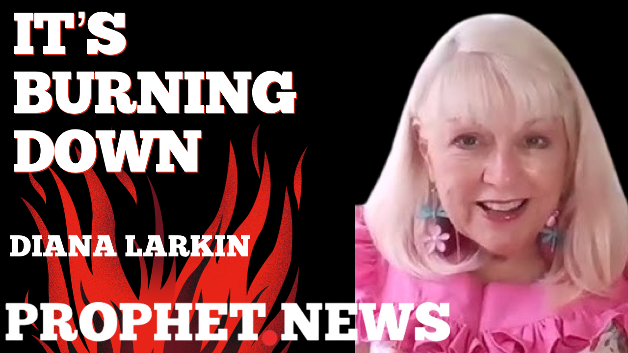 IT’S BURNING DOWN—DIANA LARKIN